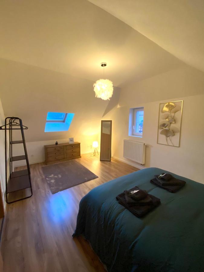 Apartmán Duplex Moderne A 10 Minutes De Colmar Wintzenheim Exteriér fotografie