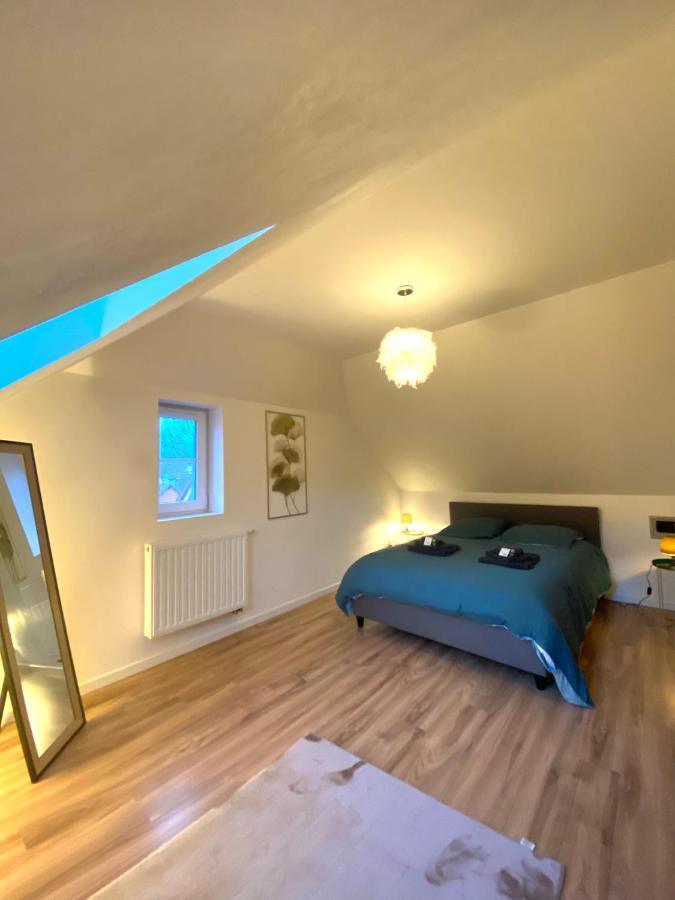 Apartmán Duplex Moderne A 10 Minutes De Colmar Wintzenheim Exteriér fotografie
